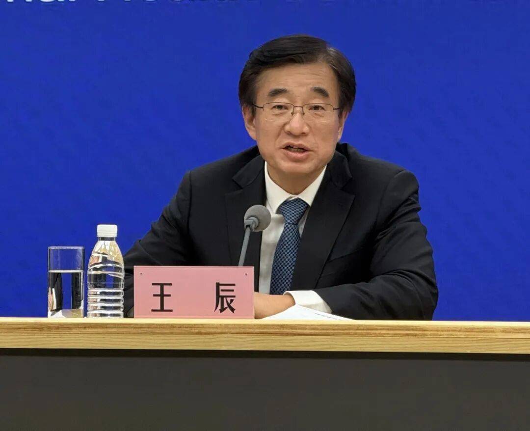 匈牙利甲组联赛_王辰被免去中国工程院副院长职务