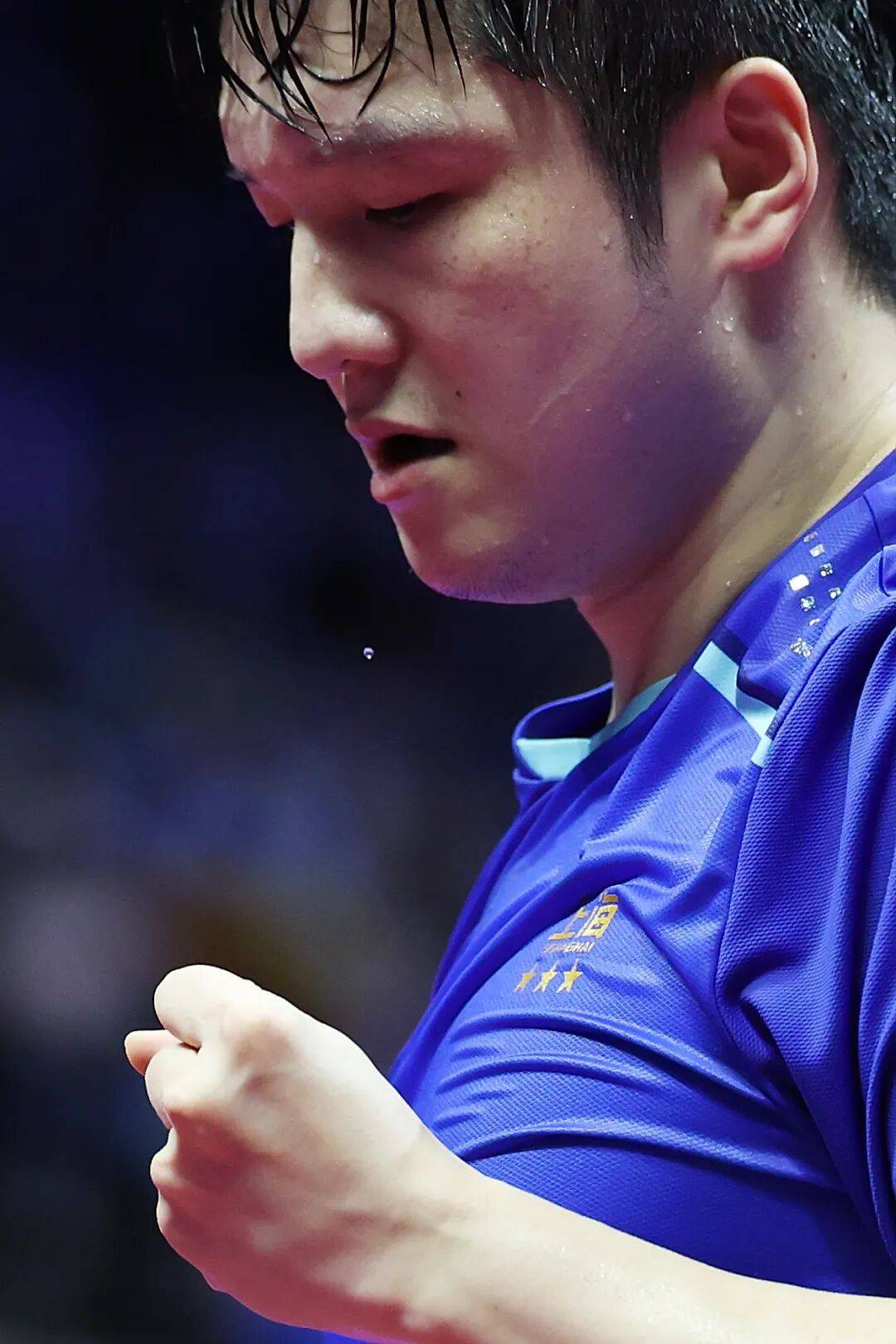 买球的正规网站
_现场｜当樊振东把全运会打成舒适区买球的正规网站
，我们要急着他回来吗？