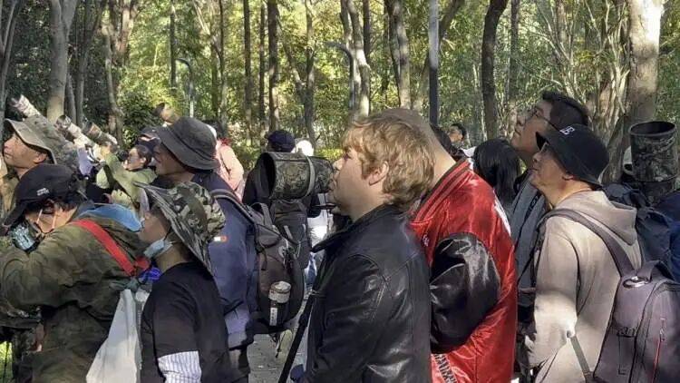 皇冠球网怎么做代理
_百年罕见！首次在上海被目击皇冠球网怎么做代理
，有人专门从北京“打飞的”赶来