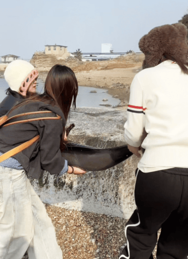 皇冠信用盘登3代理
_女大学生在大连海边拍摄素材皇冠信用盘登3代理
，却意外发现已死亡的它