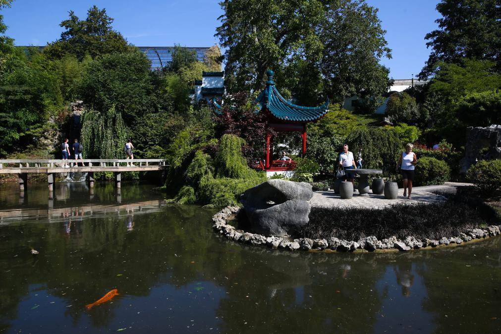 如何代理皇冠信用网
_旅比大熊猫“守护者”埃里克·董博:打开感知中国之门