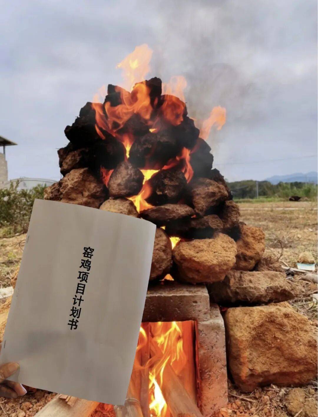 网上买球怎么买_柳州俩人竟在绿化带里“窑鸡”网上买球怎么买，鸡还未入窑就......