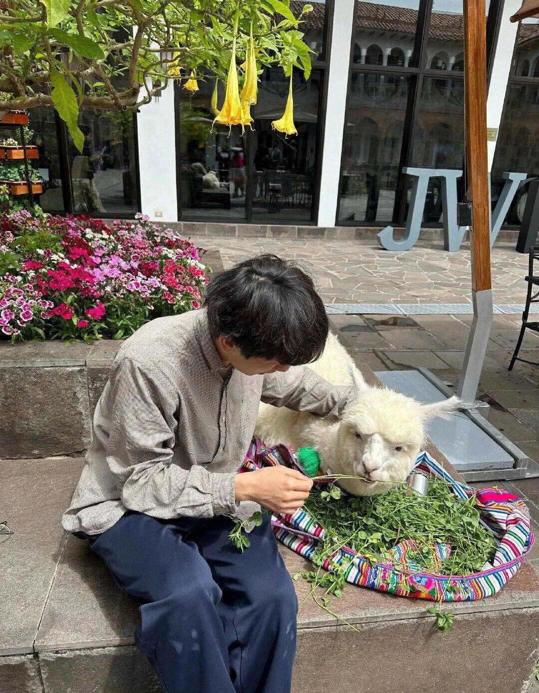 怎么开通皇冠信用网口 _“中韩混血上海人”火遍全网怎么开通皇冠信用网口 ，他才是真正的“多邻国”