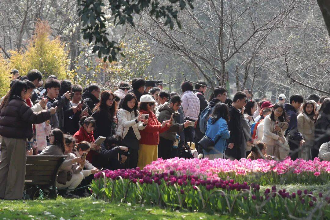 皇冠信用网代理登1 _飙到20℃！杭州人注意皇冠信用网代理登1 ，大反转来了！时间已确定......