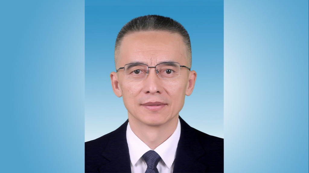 皇冠如何代理_新疆维吾尔自治区政府副主席、喀什地委书记聂壮当选自治区党委常委